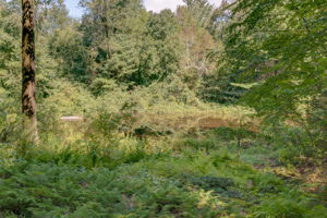 1220 Copper Hill Rd, West Suffield, CT 06093, USA Photo 45