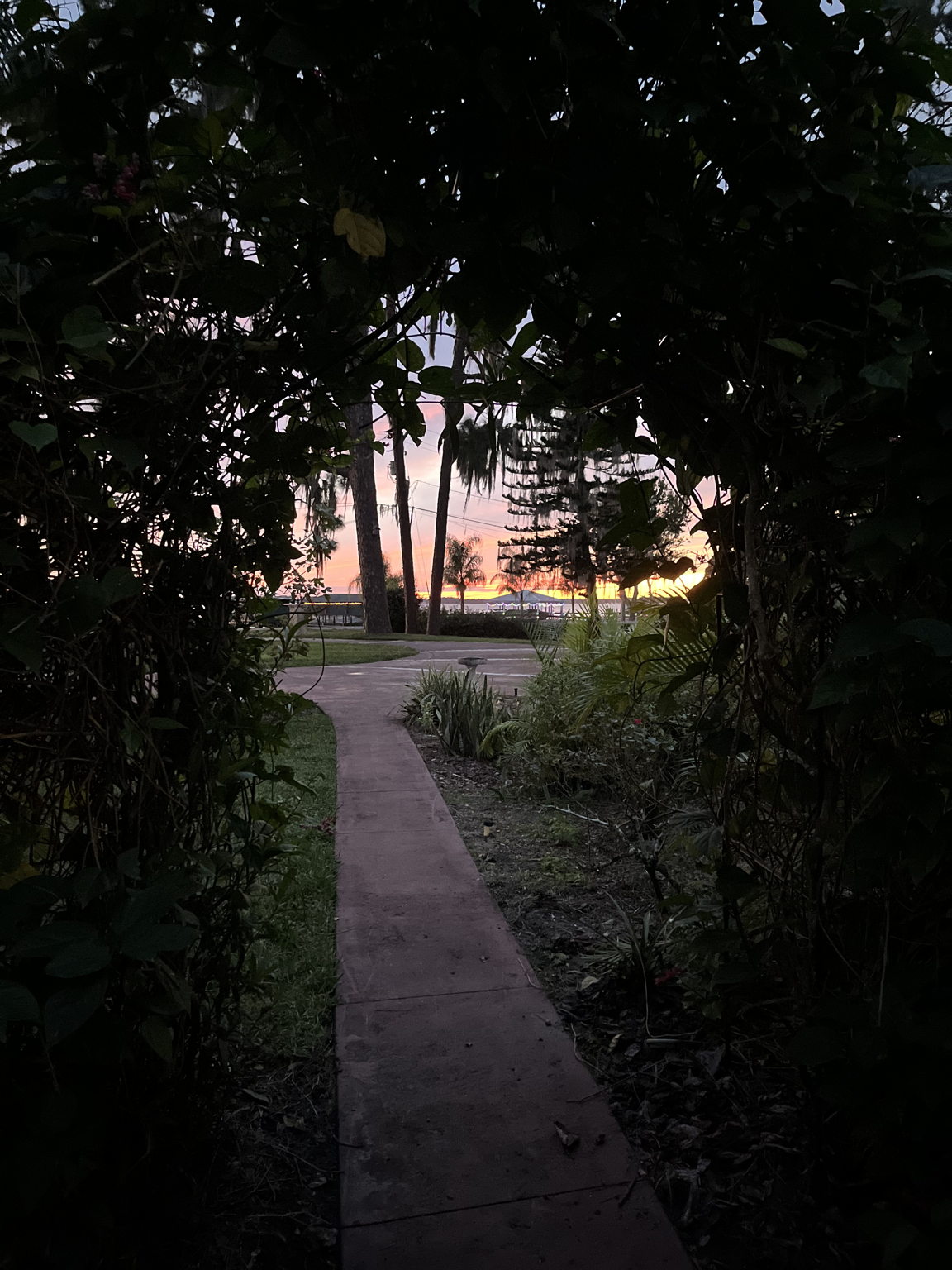 32850 Lakeshore Dr, Tavares, FL 32778, USA Photo 102