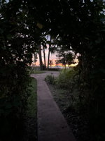 32850 Lakeshore Dr, Tavares, FL 32778, USA Photo 101