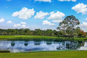 Cypress Lakes