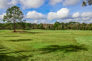 Cypress Lakes