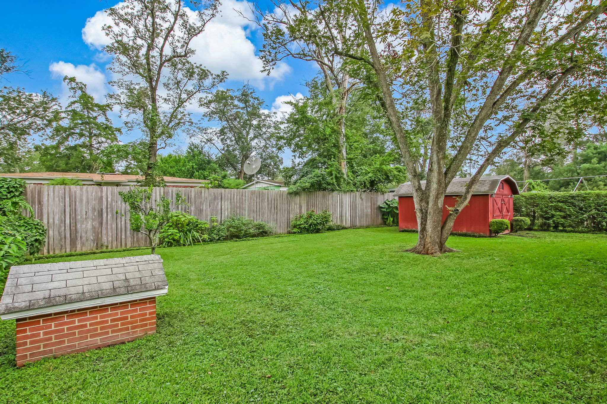 Backyard