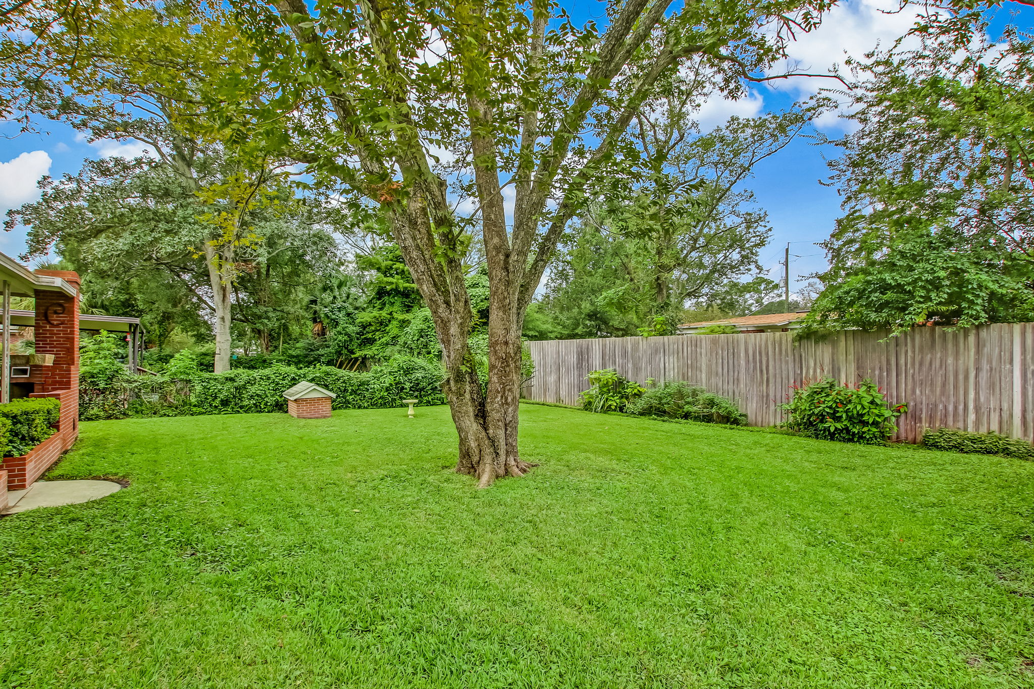 Backyard