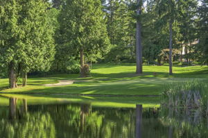 13608 49th Ave Ct NW, Gig Harbor, WA 98332, US Photo 39