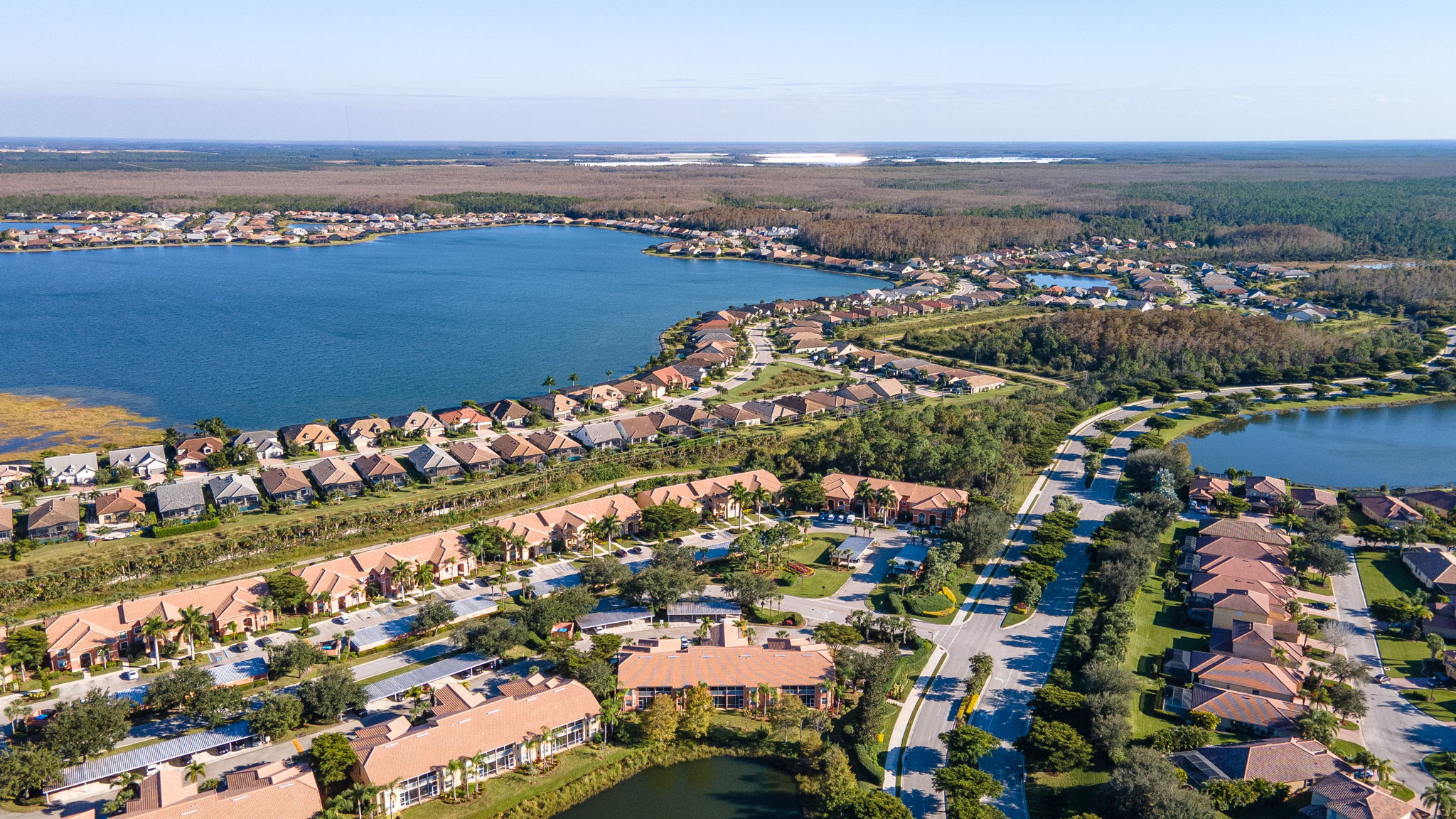  Barletta Ln, Estero, FL 33928, US Photo 6