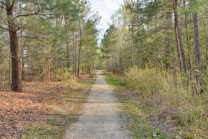 4408 Olive Dr, Williamsburg, VA 23188, US Photo 46