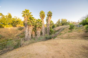 15862 Golden Star Ave, Riverside, CA 92506, US Photo 39
