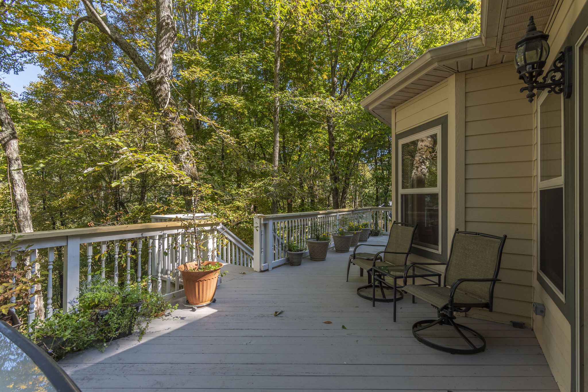 85 Riding Horse Trail, Waynesville, NC 28786 TCMPhotos