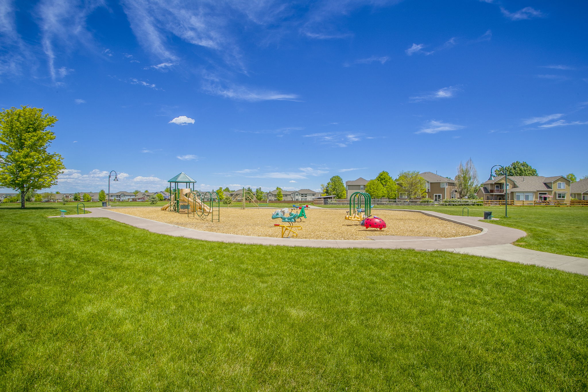 Run and Play at the Neighborhood Park