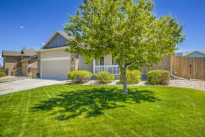 Lots of Room in Your Front Yard