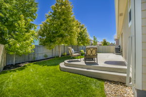 Mature Trees Provide Plenty of Shade