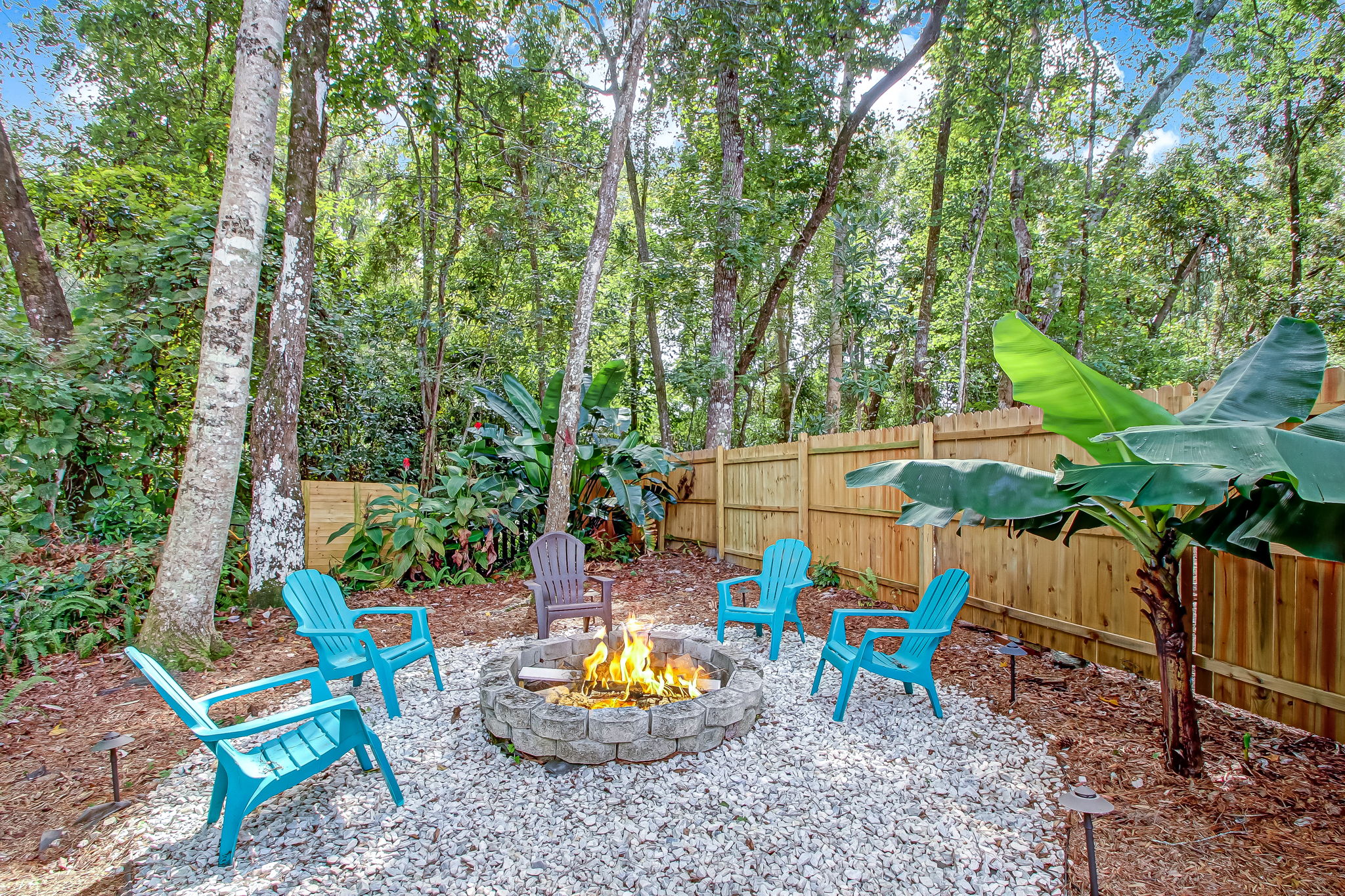 Backyard