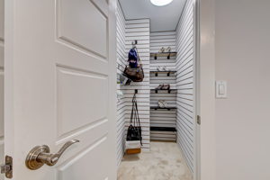 Primary Closet