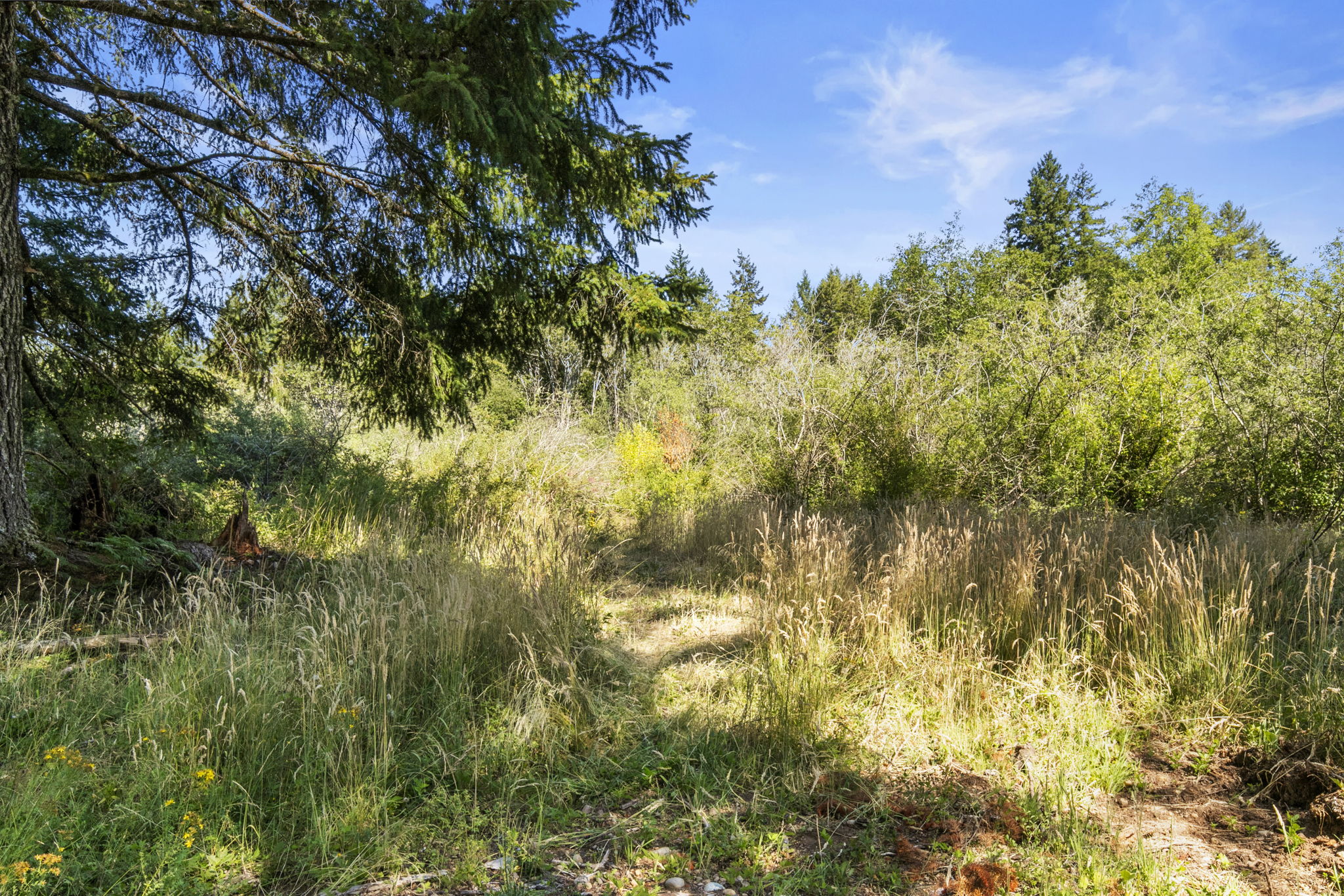 1301 NE Toonerville Dr, Belfair, WA 98528, USA Photo 32