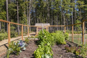 1301 NE Toonerville Dr, Belfair, WA 98528, USA Photo 22