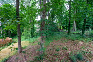117 Williamsburg Ln, Woodstock, GA 30189, US Photo 33