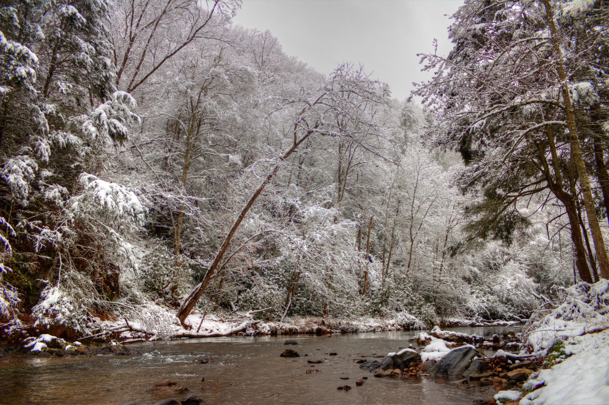 280 Bear River Lodge Trail, Marshall, NC 28753, US Photo 48