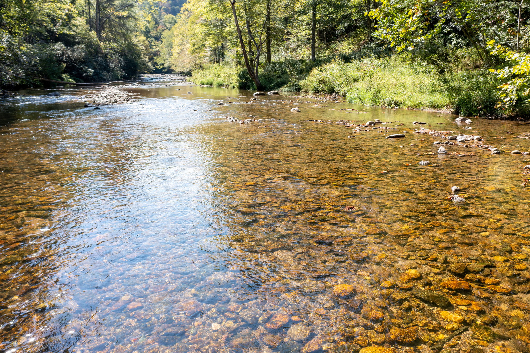 280 Bear River Lodge Trail, Marshall, NC 28753, US Photo 43