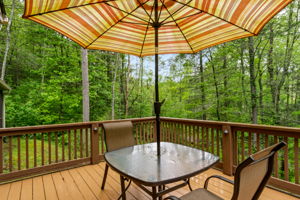 280 Bear River Lodge Trail, Marshall, NC 28753, US Photo 32