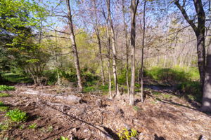 214 Stanwood Dr, New Britain, CT 06053, US Photo 3