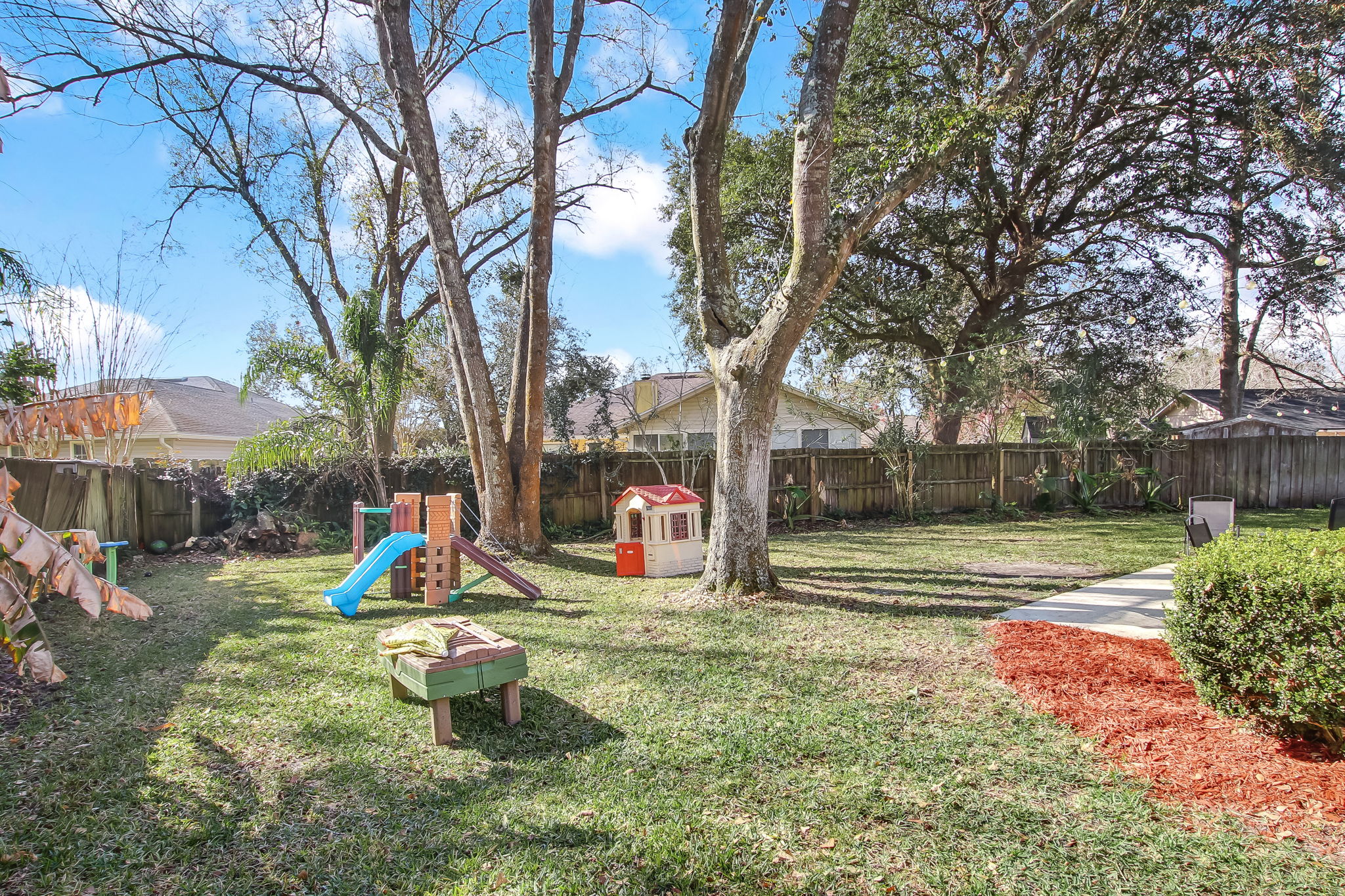 Back Yard