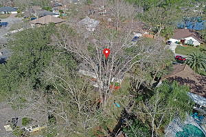 Aerial View With Arrow