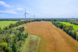 328108 Concession Rd 3, Maxwell, ON N0C 1J0, CA Photo 30