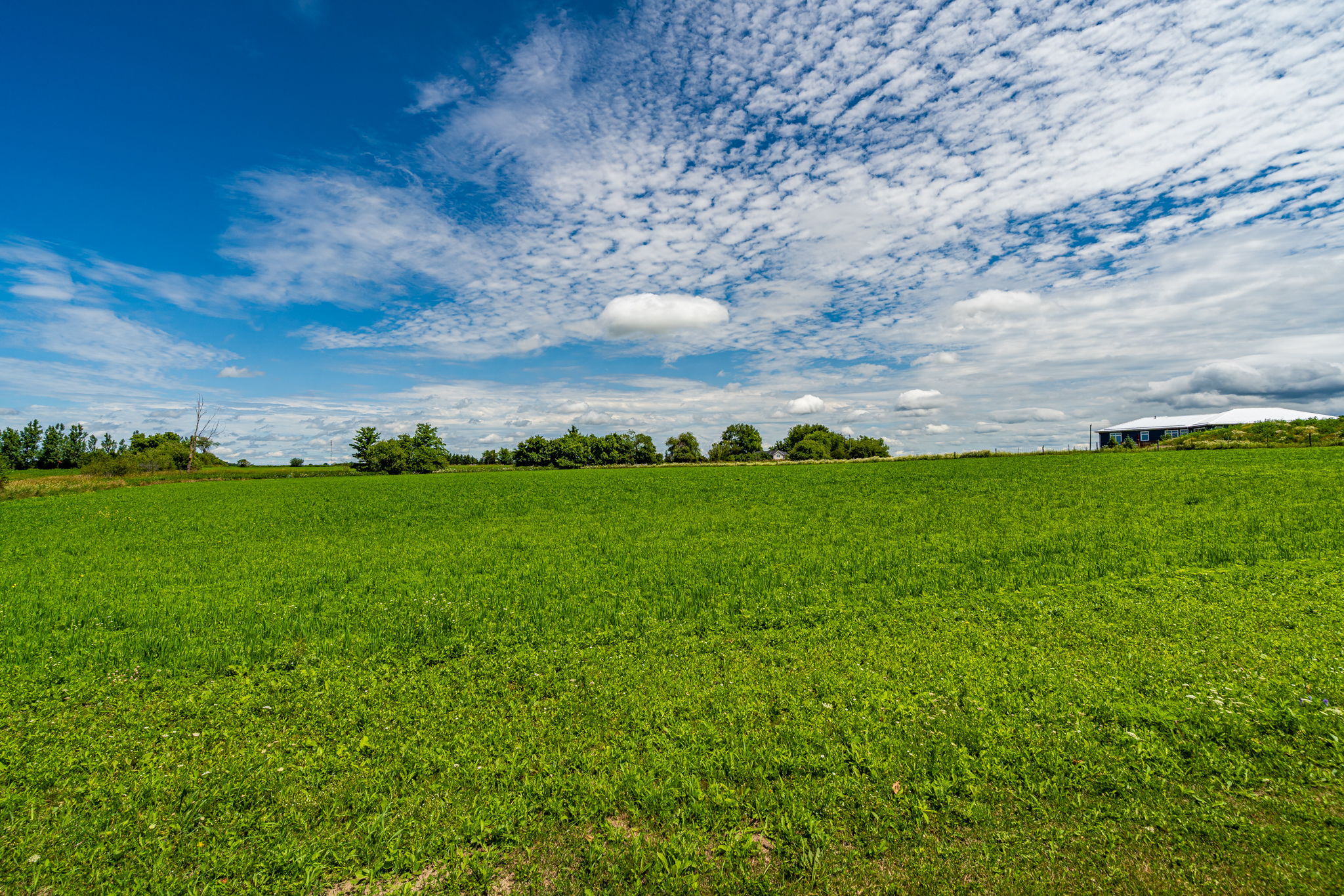 232319 Trafalgar Rd N, ON, CA Photo 48