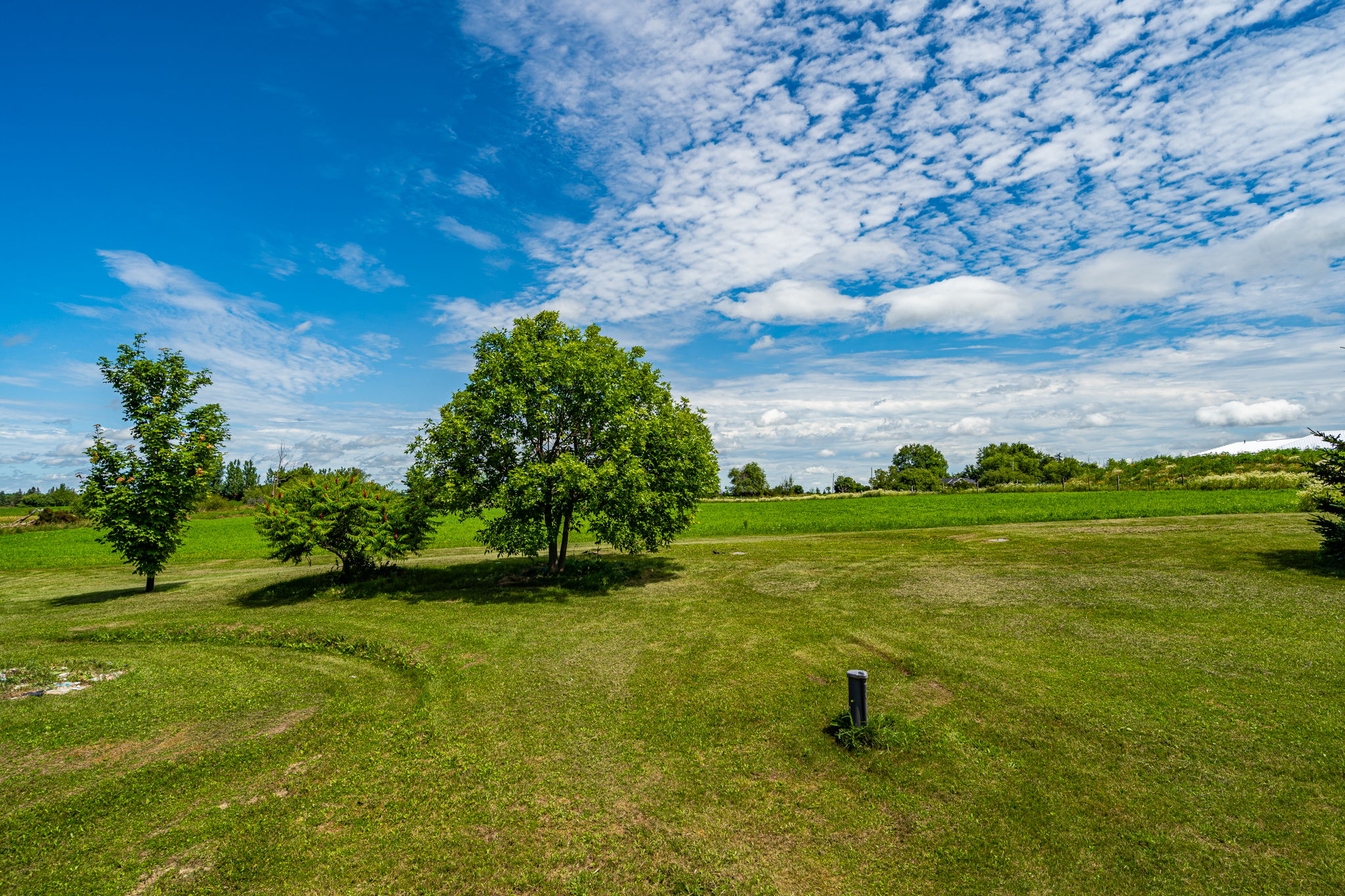 232319 Trafalgar Rd N, ON, CA Photo 40