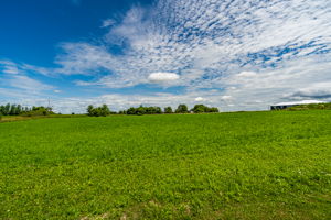 232319 Trafalgar Rd N, ON, CA Photo 47