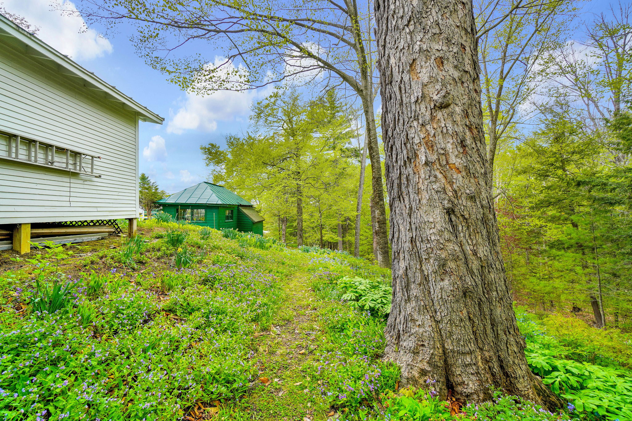 144 Anson St, Farmington, ME 04938, US Photo 11