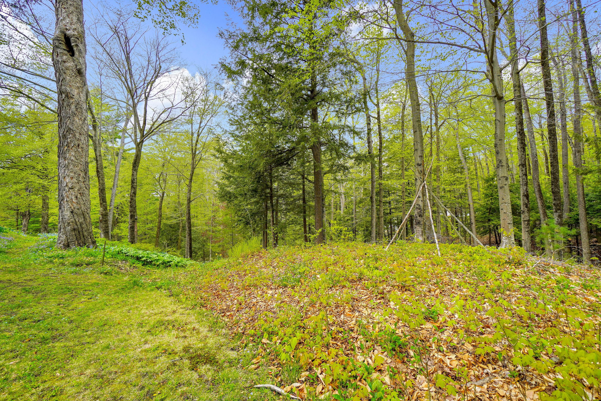 144 Anson St, Farmington, ME 04938, US Photo 15
