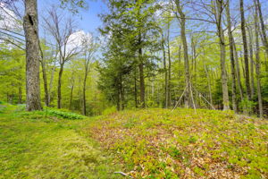144 Anson St, Farmington, ME 04938, US Photo 14