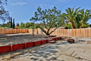 3870 Adelaide Dr, Martinez, CA 94553, USA Photo 16