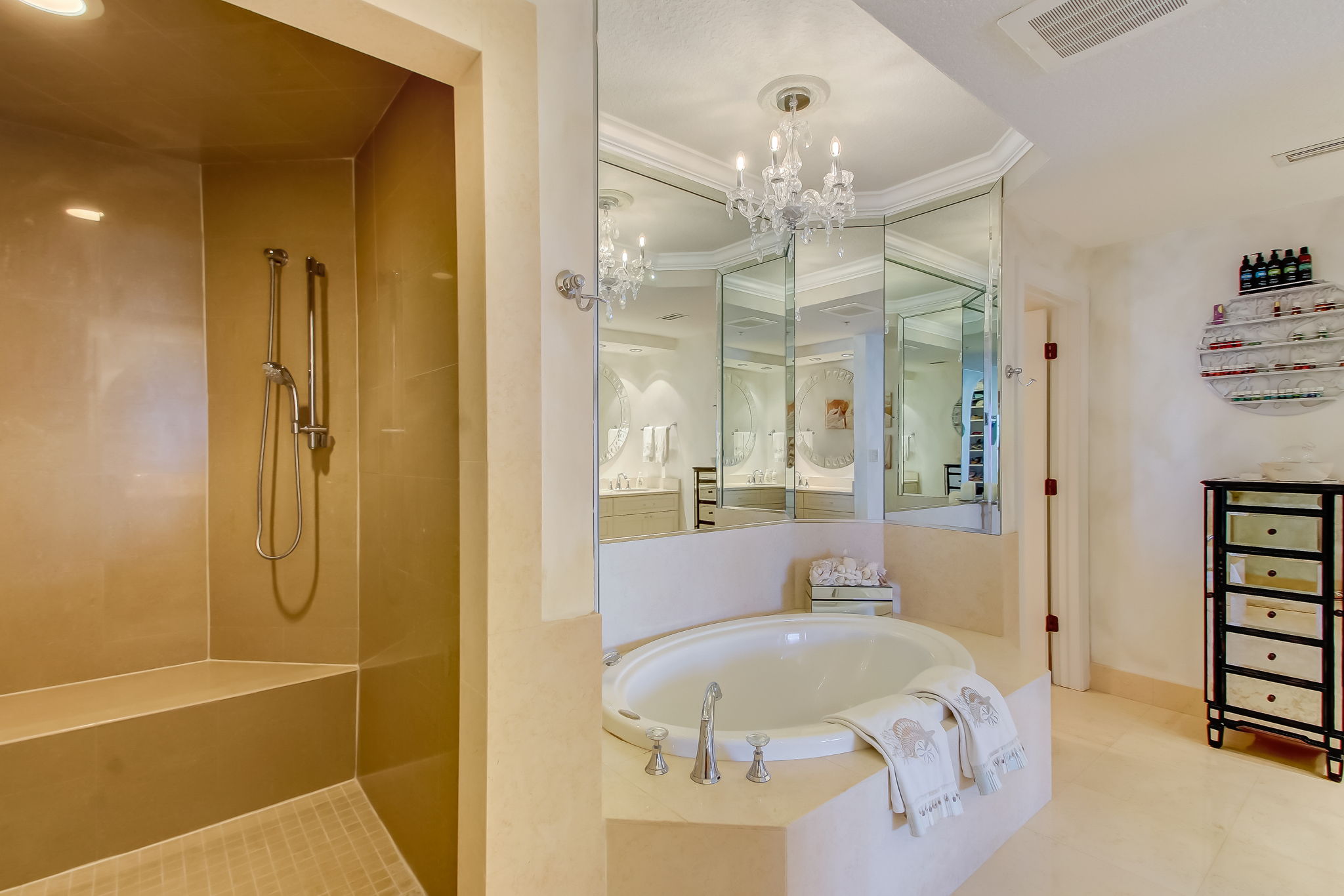 Master Bath Shower