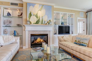 Fireplace & Custom Built-Ins