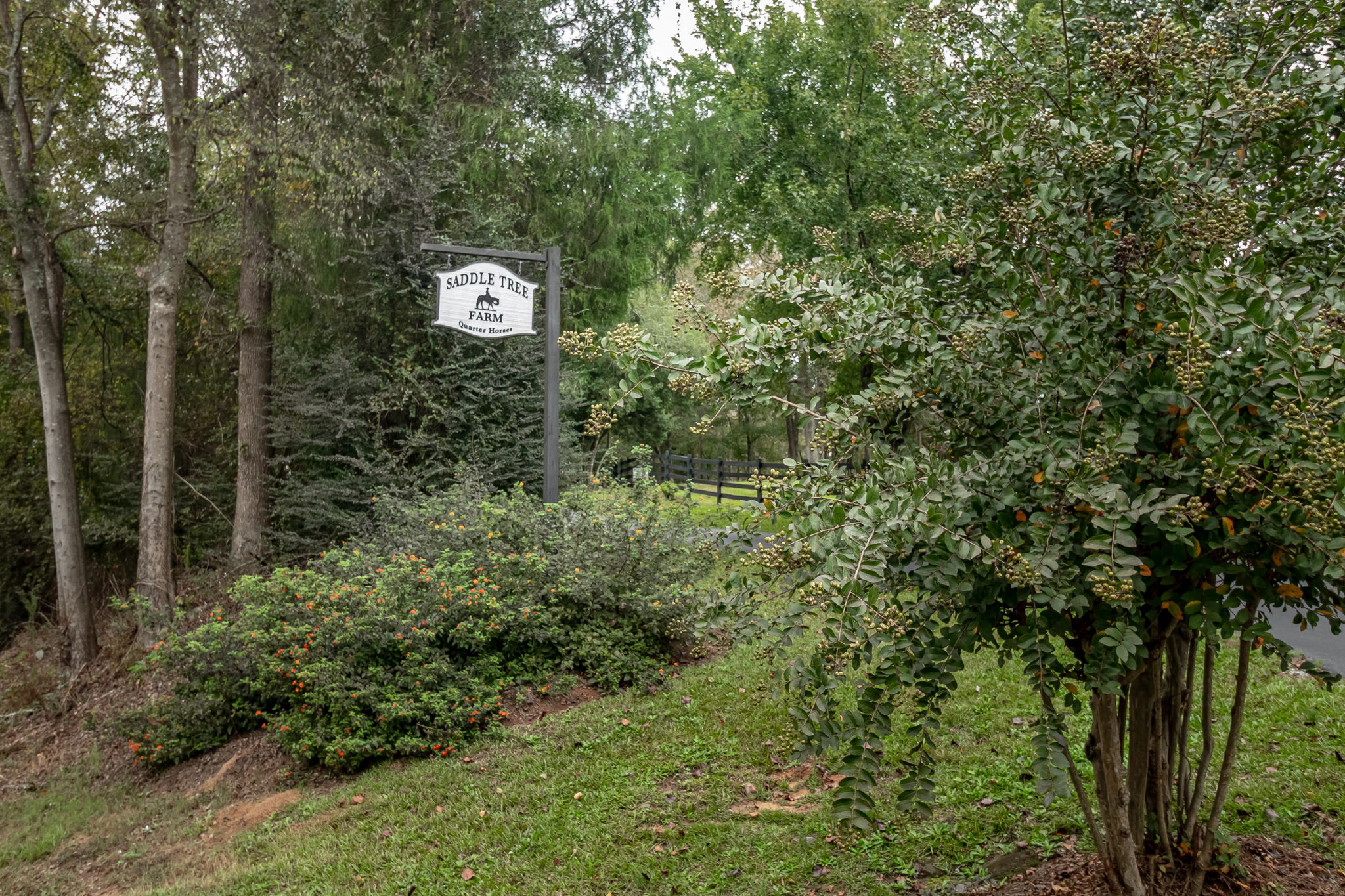 6649 Wrightsboro Rd, Harlem, GA 30814 Image Pro 360