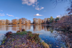 45 Robindale Dr, Berlin, CT 06037, USA Photo 14