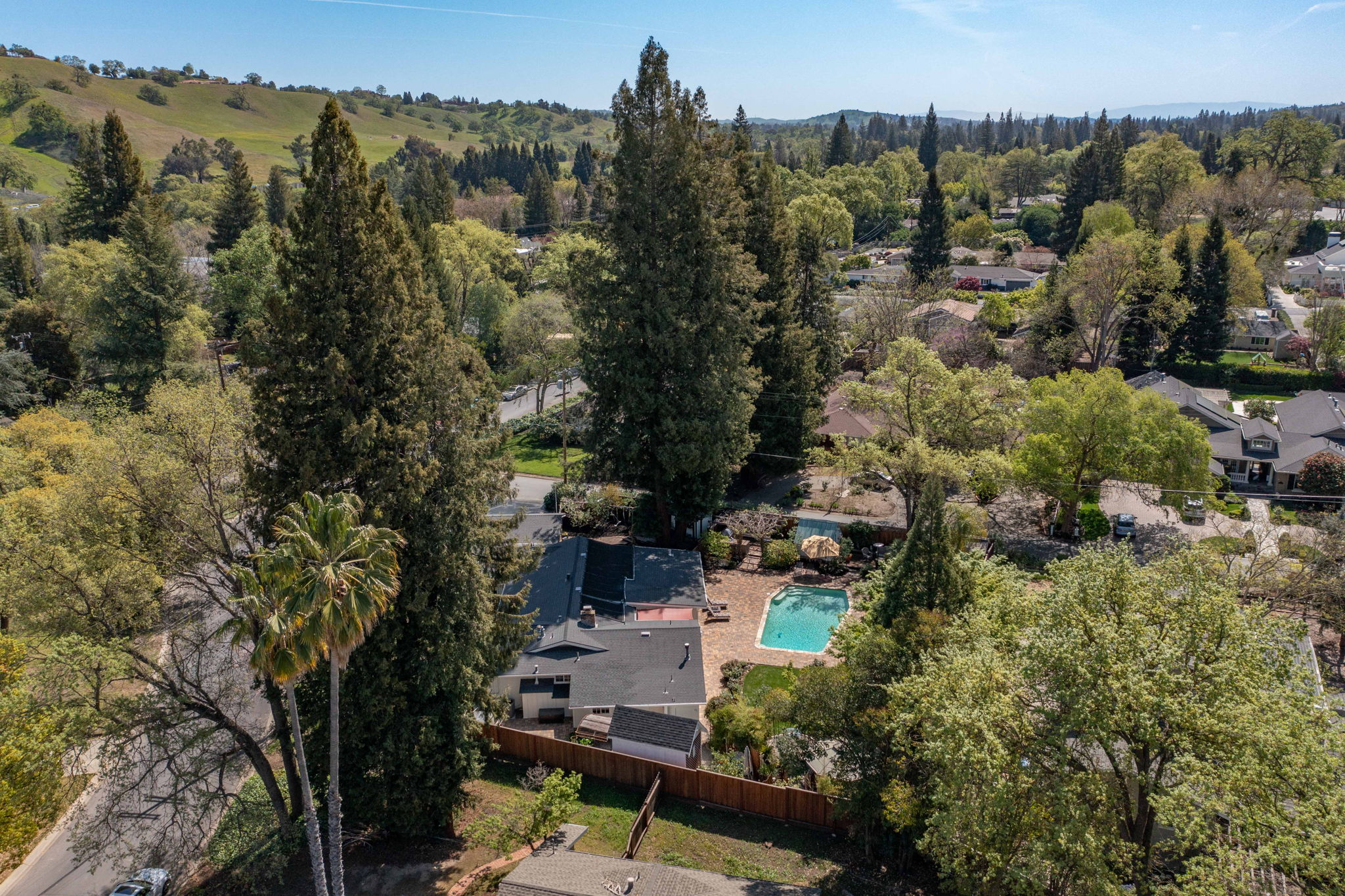 101 Vía Serena, Alamo, CA 94507, US Photo 53