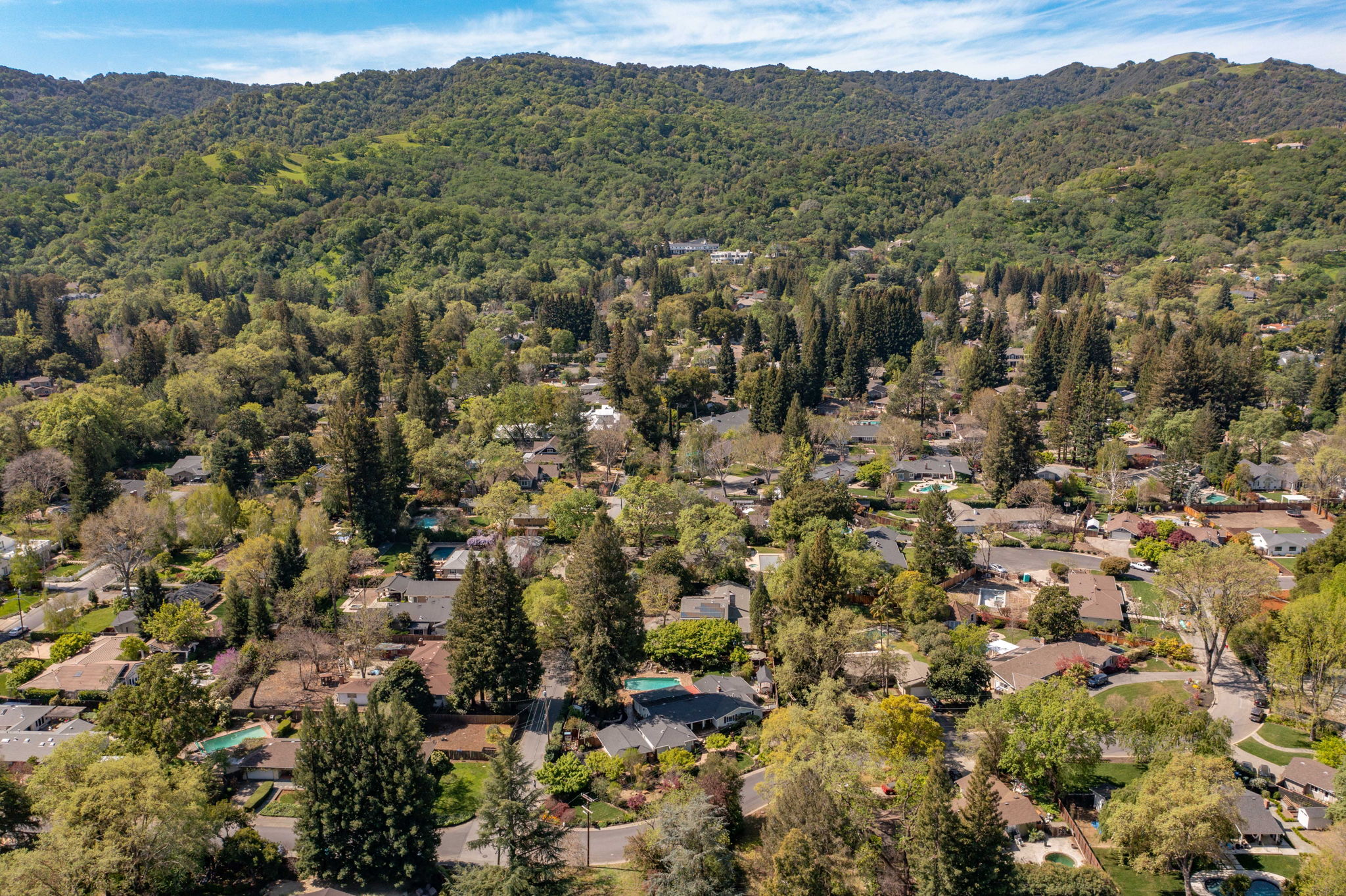 101 Vía Serena, Alamo, CA 94507, US Photo 59