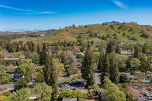 101 Vía Serena, Alamo, CA 94507, US Photo 57