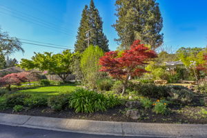 101 Vía Serena, Alamo, CA 94507, US Photo 2