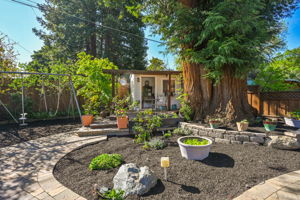 101 Vía Serena, Alamo, CA 94507, US Photo 47