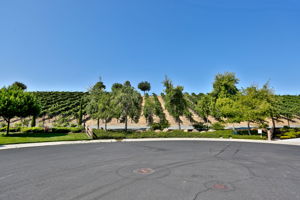 1851 Viognier Ct, Brentwood, CA 94513, US Photo 6