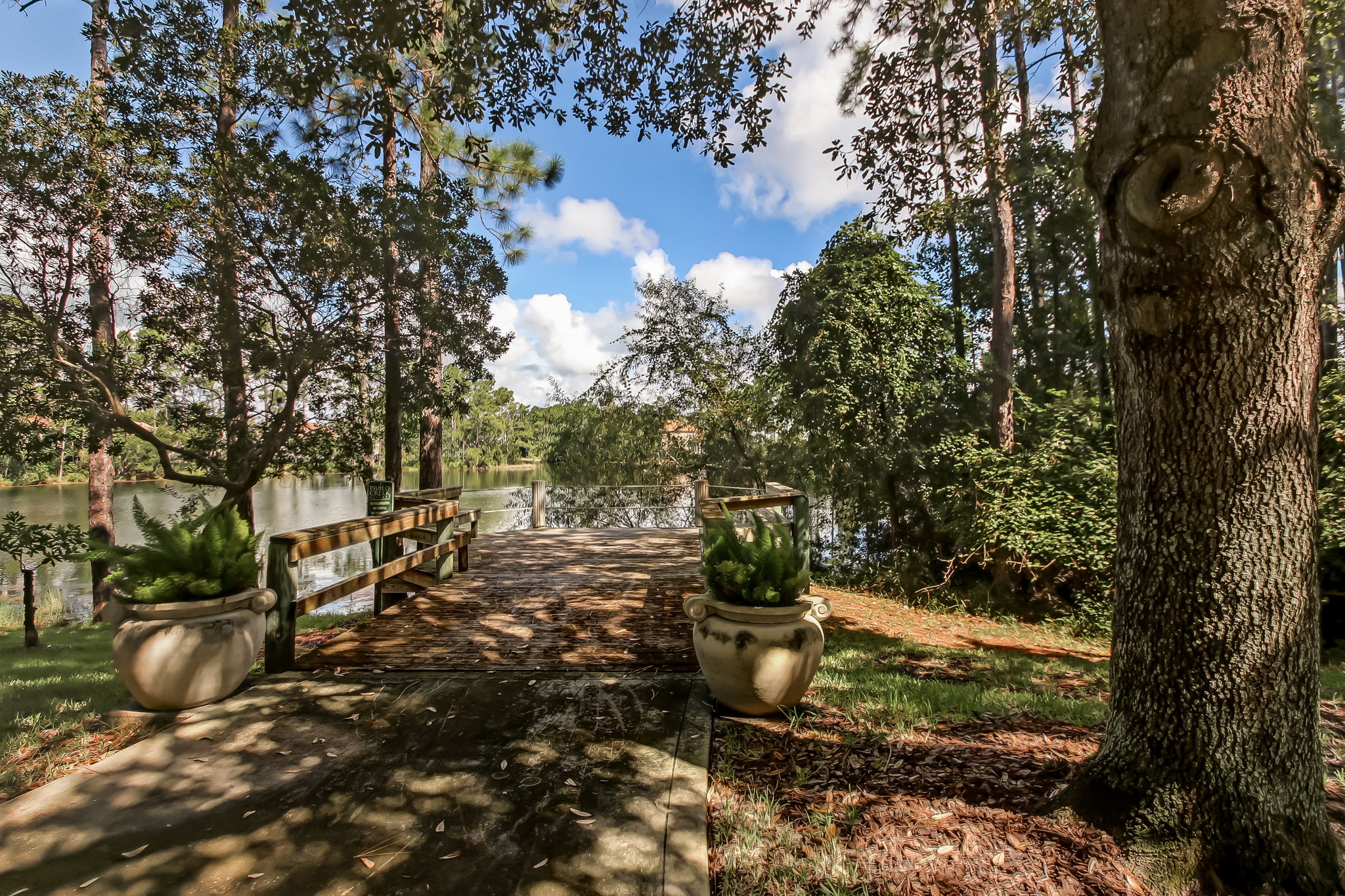 Nature Trail