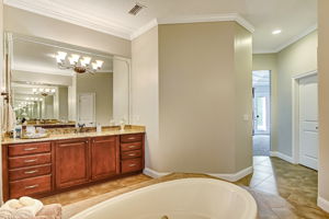Master Bath Vanity