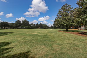 Sports Field