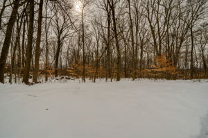 419 Camp St, Bristol, CT 06010, US Photo 70