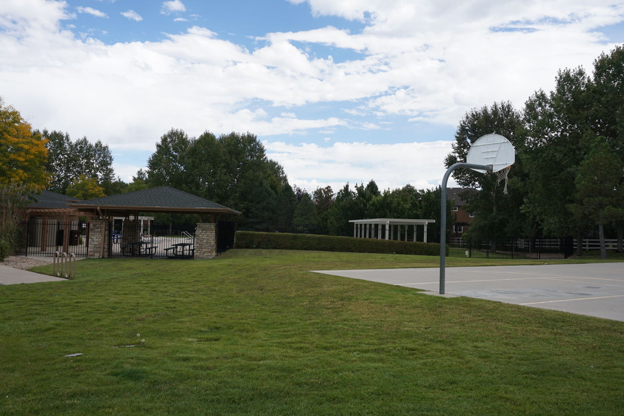 Beautiful Ranch in the Broadlands! | The Denver Creative Group