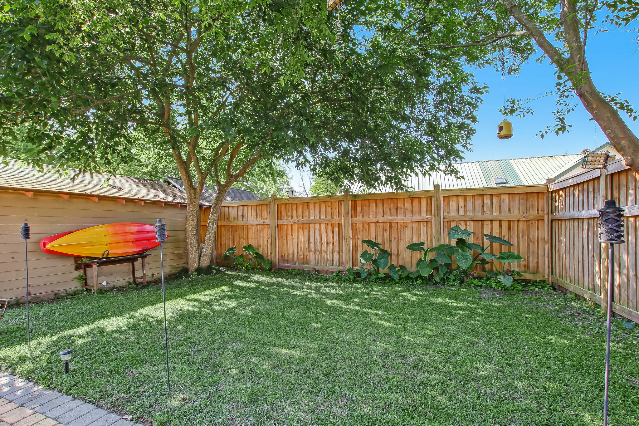Backyard